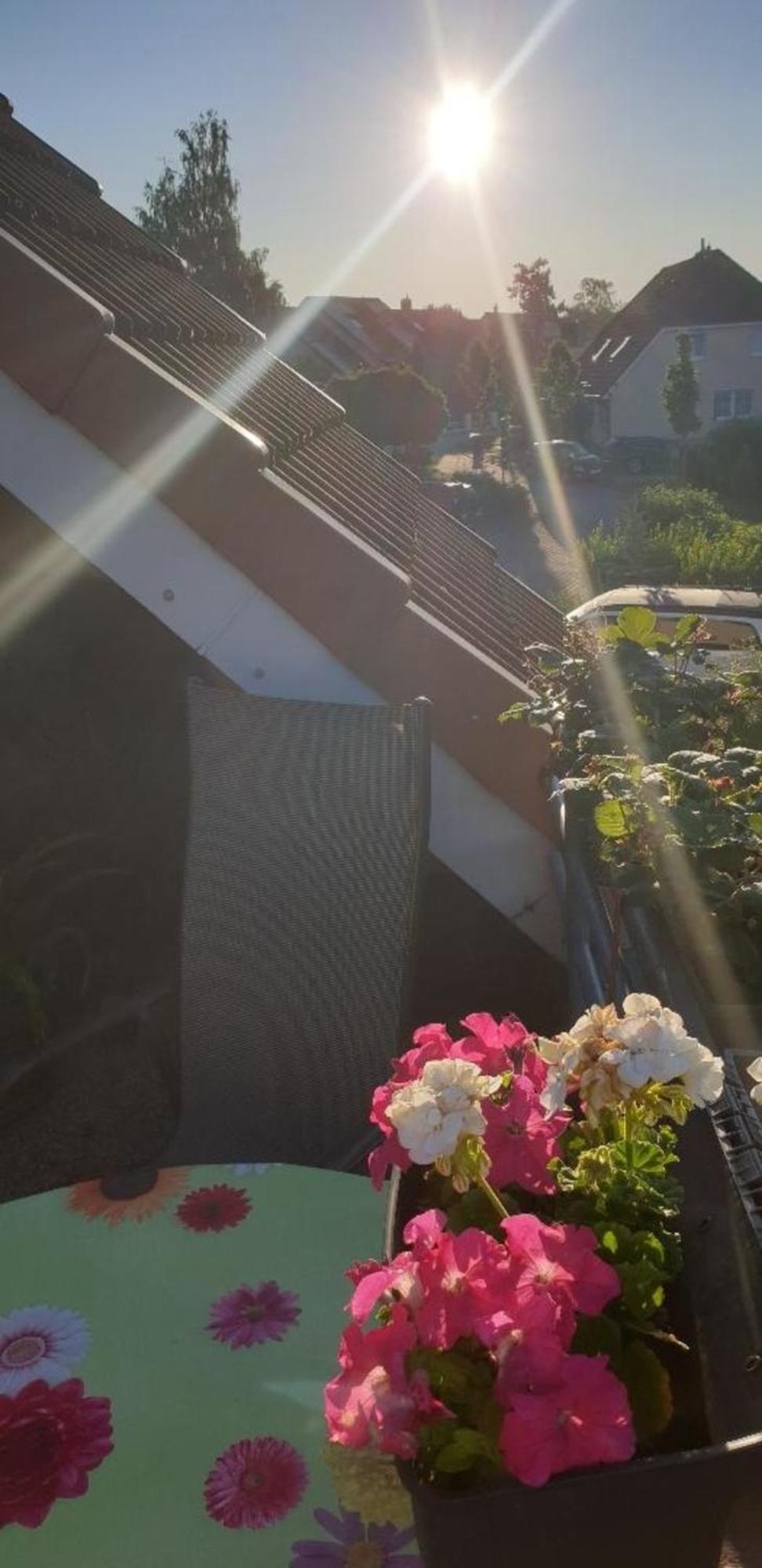 Ferienwohnung In Radeberg Bei Dresden المظهر الخارجي الصورة