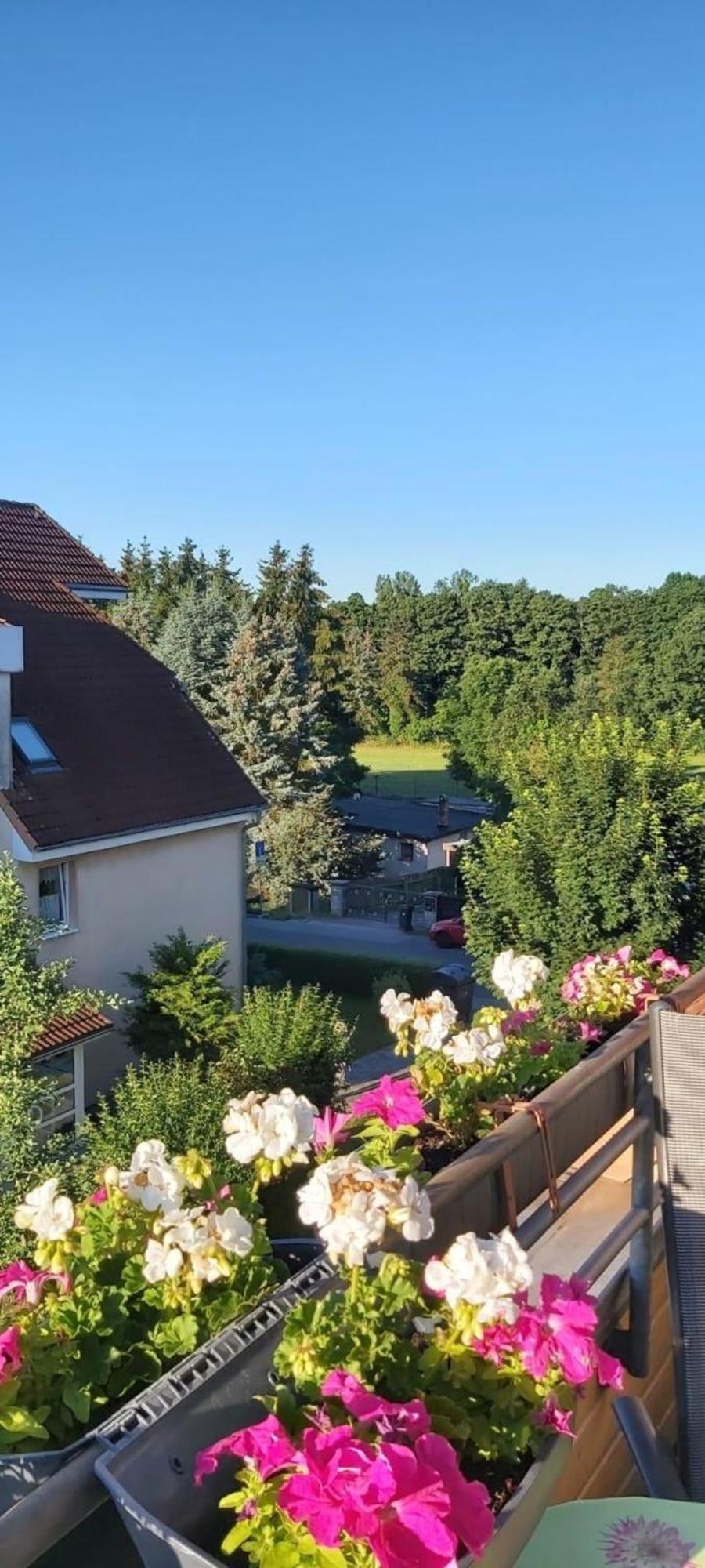Ferienwohnung In Radeberg Bei Dresden المظهر الخارجي الصورة